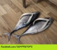/album/fotos-engra%c3%a7adas/fotos-engra%c3%a7adas-facebook-09-jpg/