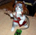 /album/fotos-engra%c3%a7adas/recados-animados-recados-imagens-engracadas-b05eb9-jpg/